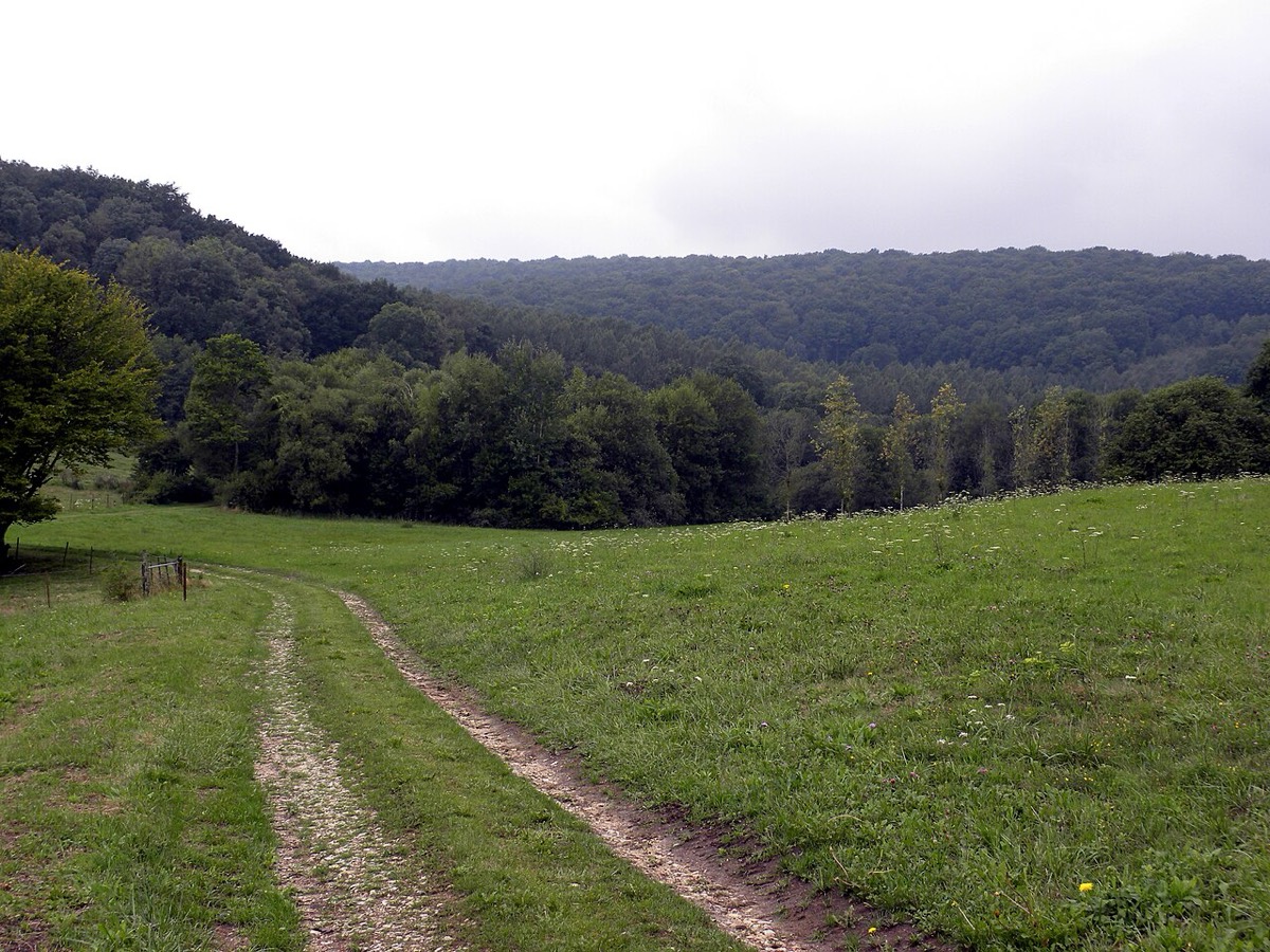 Valley near Chatel Chéhéry where Sergeant York did his heroics.
